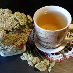 Чай от бял равнец