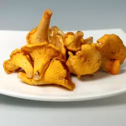 Пачи крак