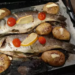 Лаврак