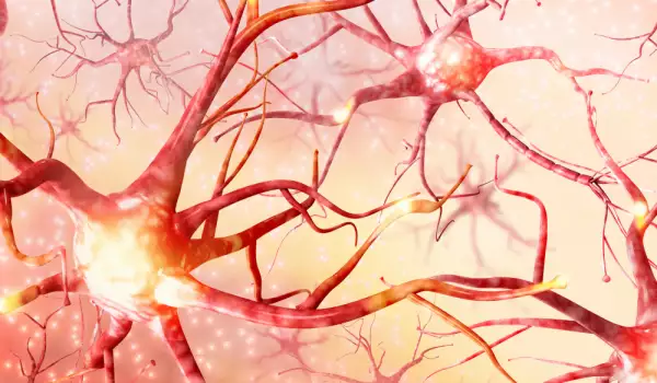 Нейрографика - какво е и как помага