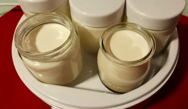 Кисело мляко в йогуртера