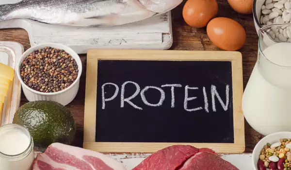 Кои храни съдържат най-много протеини?