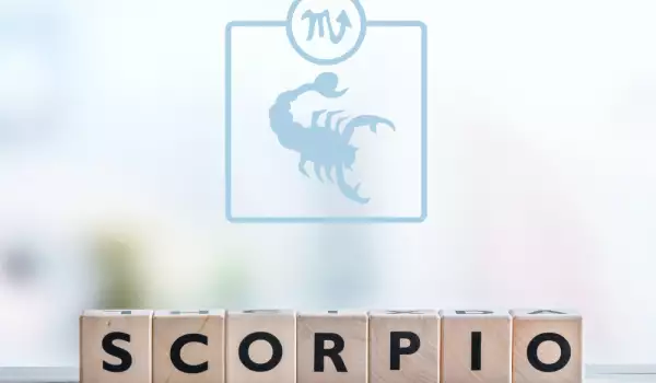 зодия Скорпион