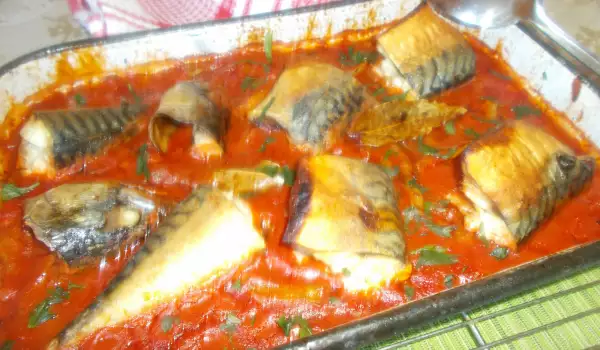 Печена скумрия със зеленчуци в доматен сос