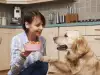 Езика на тялото при кучетата