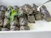 Лозови сарми с ориз и маслини